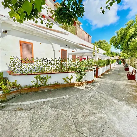 Maica *