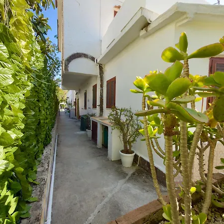 Maica * Palinuro